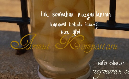 Armut Kompostosu 1 armut-kompostosu