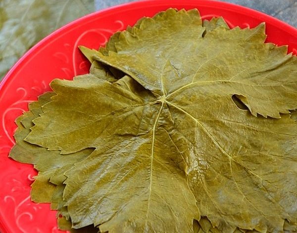 Salamura Yaprağı Nasıl Kurulur 1 salamura-yapragi-nasil-kurulur