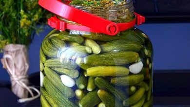 meshur-cubuk-salatalik-tursusu-tarifi